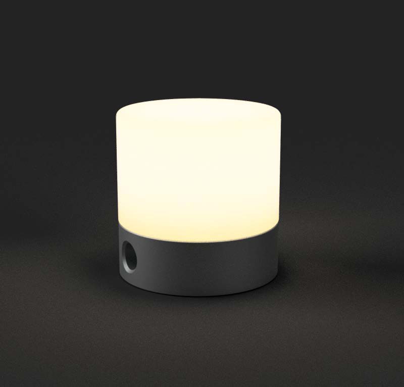 MONO*LIGHT render