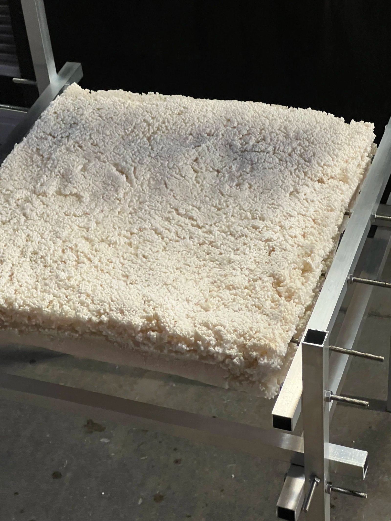 T.E.C. chair biomaterial