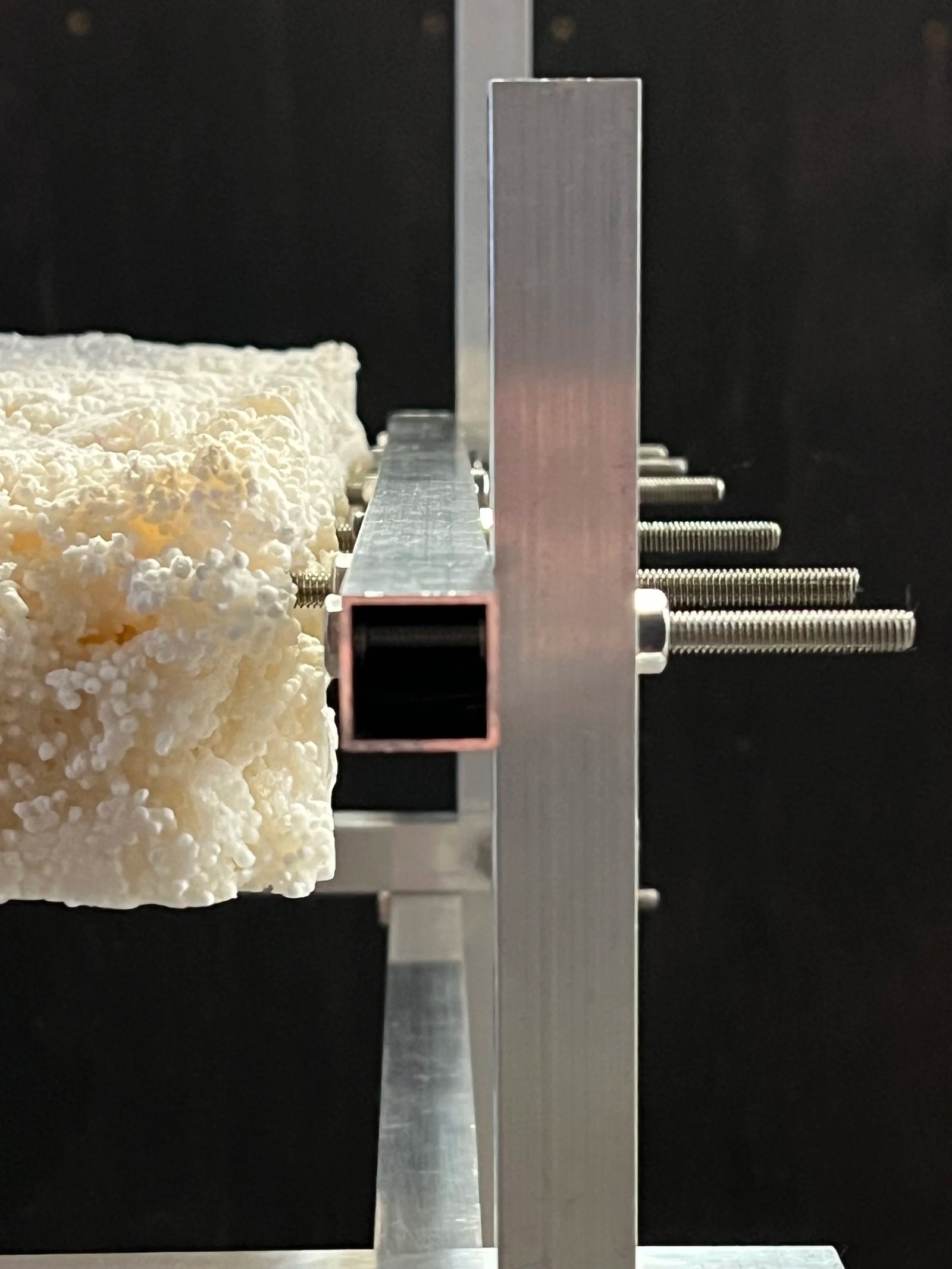Tapioca Encased Chair — biomaterial research